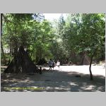 20060824_Yosemite_012 copia.jpg